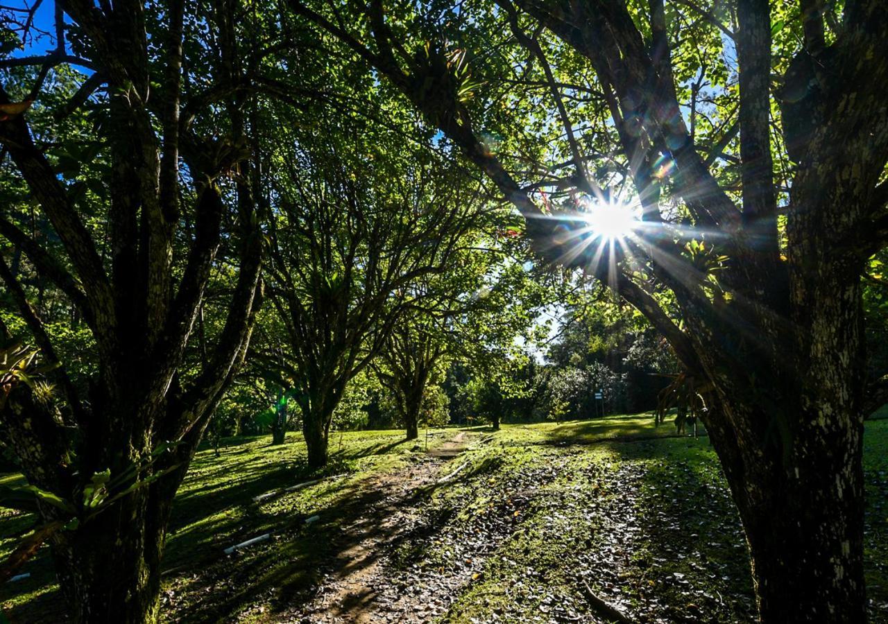 Отель Refugio Ecologico Amadamata Нова-Фрибургу Экстерьер фото